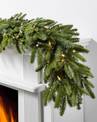 Guirlande sapin Fraser